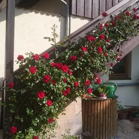 Ferienwohnung Ferienoase ENGEL Uberlingen Exterior foto